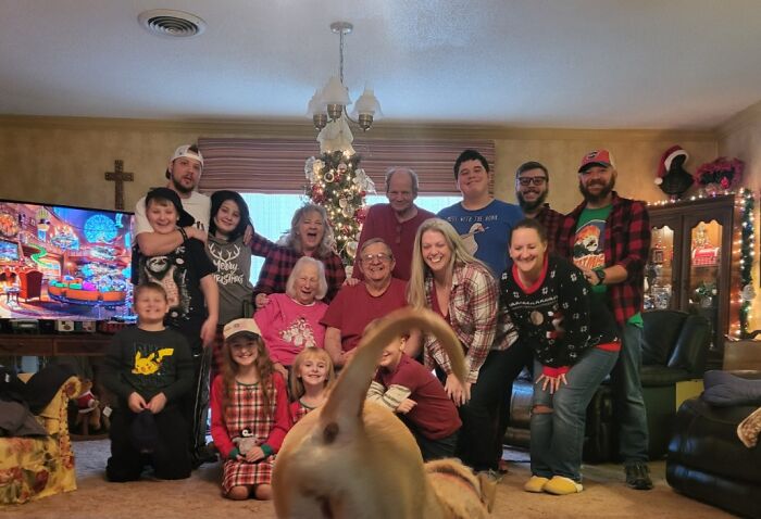 Large family posing for Christmas photo with a pet dog crashing the shot, showcasing funny times pets crashed photos moments.