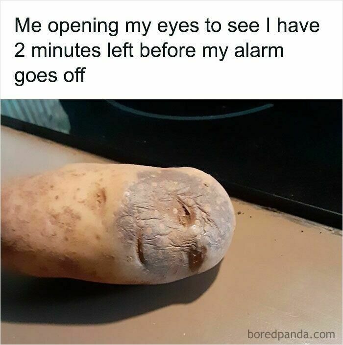 Potato with a sleepy face captioned about opening eyes with two minutes left before alarm, a relatable meme.