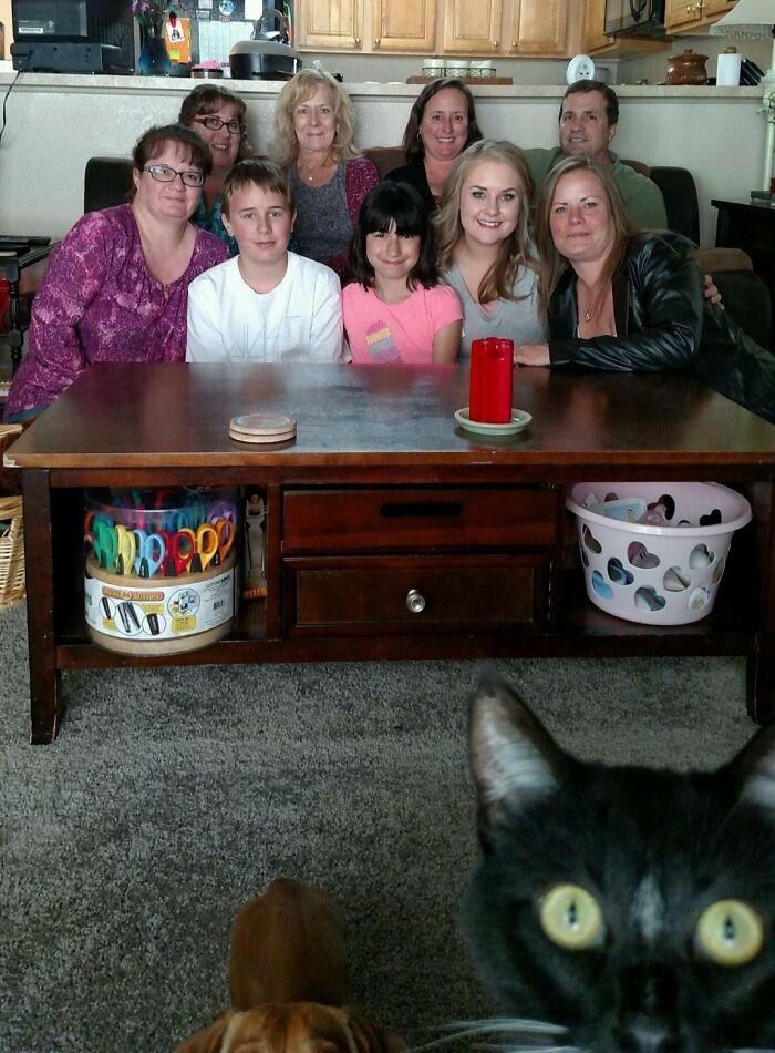 A group of people posing for a photo while a black cat photobombs in the foreground, showcasing funny pet photo crashes.