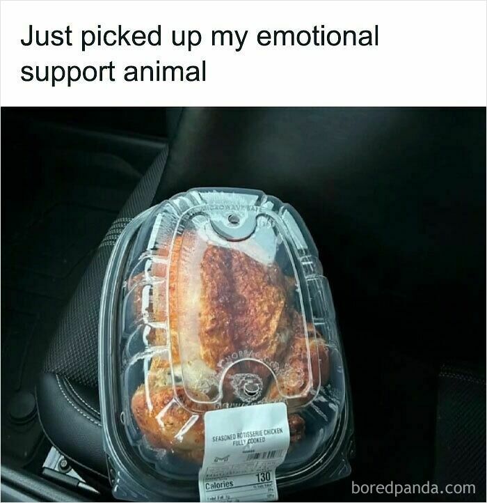 Rotisserie chicken in a plastic container on a car seat, humorously called an emotional support animal meme.
