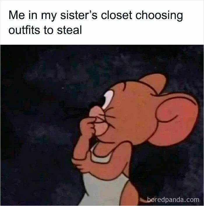 Cartoon mouse thoughtfully planning while caption reads about stealing outfits in a sister’s closet relatable memes.