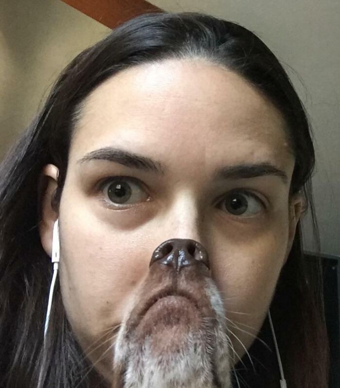 Woman with a dog's nose perfectly aligned on her face, creating a funny pet photo crashing the shot and stealing the show.
