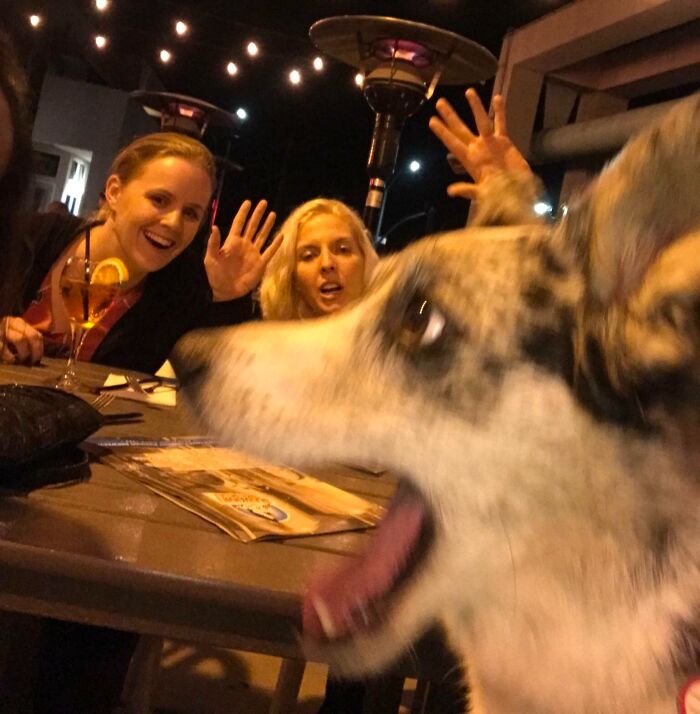 Two women at a table surprised by a dog crashing the photo, capturing a funny moment pets totally stole the show.
