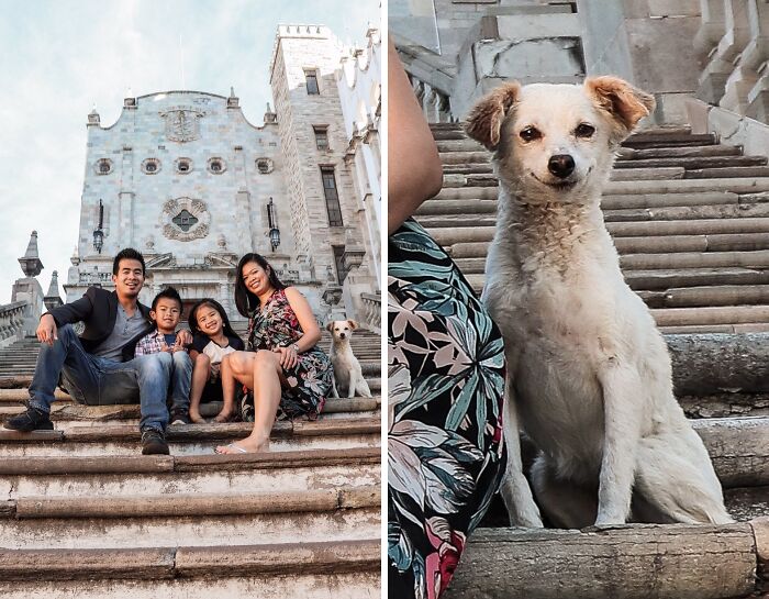 Family sitting on stone steps with a small dog photobombing, one of the funny times pets crashed photos and stole the show.