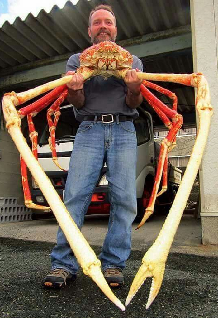 Man holding a giant crab with long claws, a candidate for the scariest animal in the world due to its size and appearance.