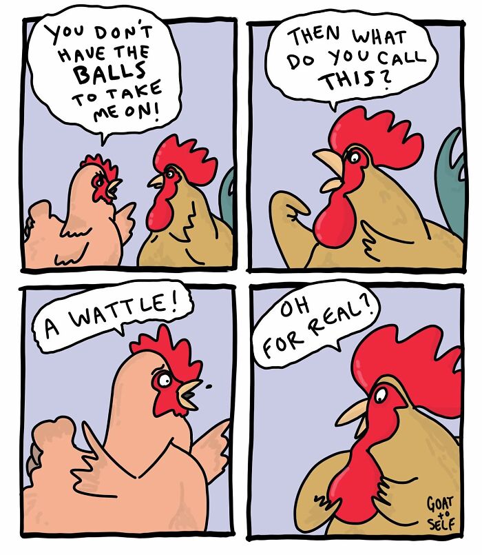 Absurd comic by Canadian artist Cameron Spires featuring two roosters humorously debating with witty dialogue.