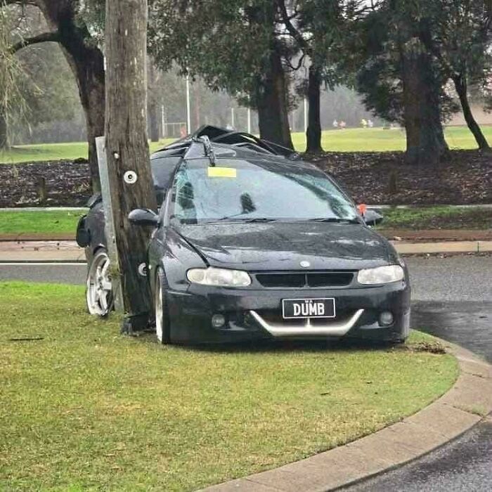 Car crashed into a pole on grass, illustrating a major parking fail shared online with a humorous personalized license plate.