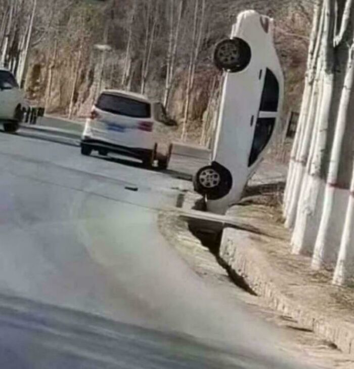 White car unusually parked vertically against a tree-lined road, showcasing one of the most surprising parking fails.