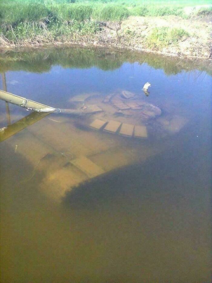 Submerged vehicle in a pond surrounded by grass, showcasing a parking fail in an unusual and unexpected location.