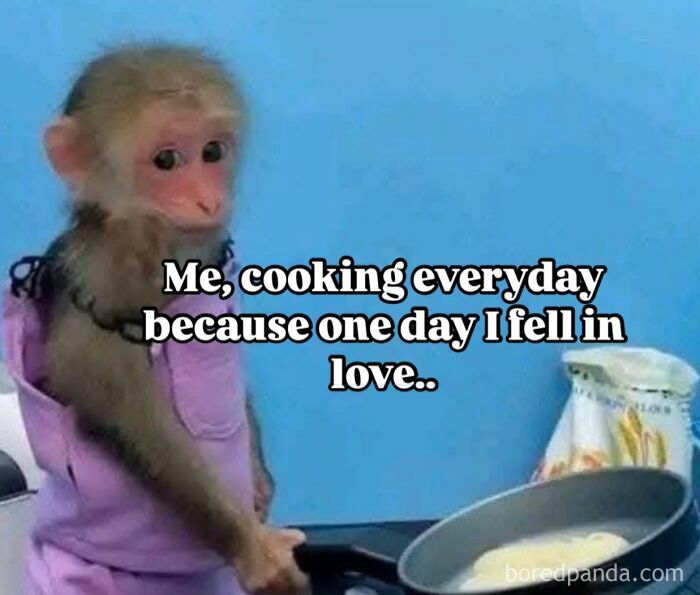 Monkey wearing a purple shirt cooking in a pan with caption about love, capturing the humor of being a cool mom.