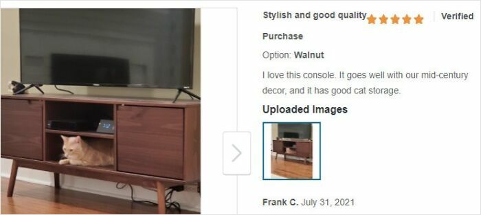 Cat sitting inside a walnut console shelf, featured in a humorous product review with an immaculate sense of humor.