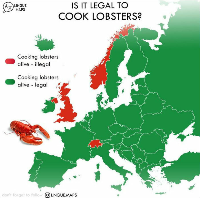 Map showing legality of cooking lobsters alive across parts of Europe with highlighted countries in red and green.