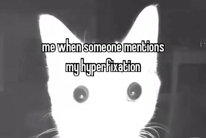 Cat with wide eyes and text about hyperfixation, a relatable moment for neurodivergent people in a meme format.