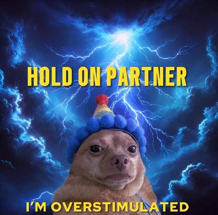 Dog wearing a party hat with lightning background and text about being overstimulated, relatable neurodivergent meme humor.