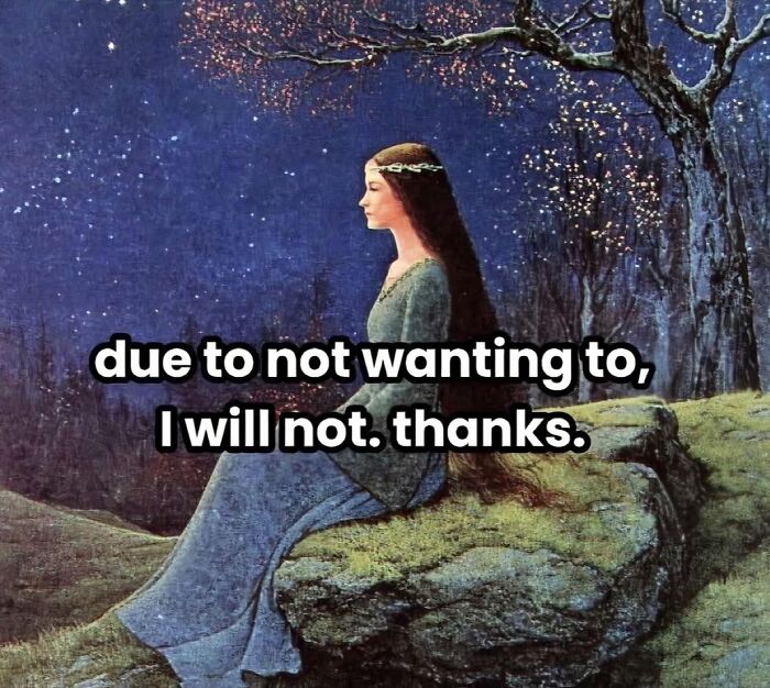 Woman in medieval dress sitting on mossy rock at night with text about not wanting to, relatable neurodivergent meme.