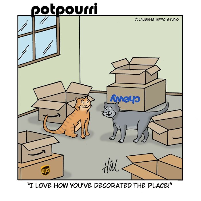 Two cats surrounded by open cardboard boxes in a humorous one-panel comic by Laughing Hippo Studio.