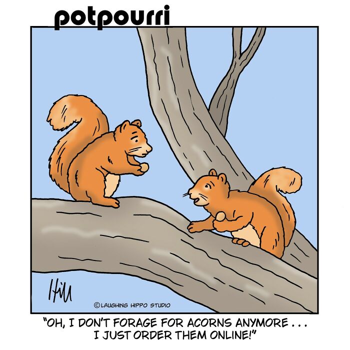 Two squirrels on tree branches in a humorous one-panel comic about ordering acorns online by Laughing Hippo Studio.