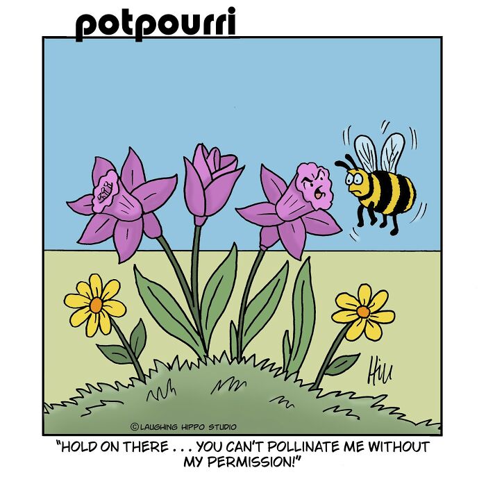 One-panel comic by Laughing Hippo Studio showing a flower telling a bee it needs permission to pollinate it.