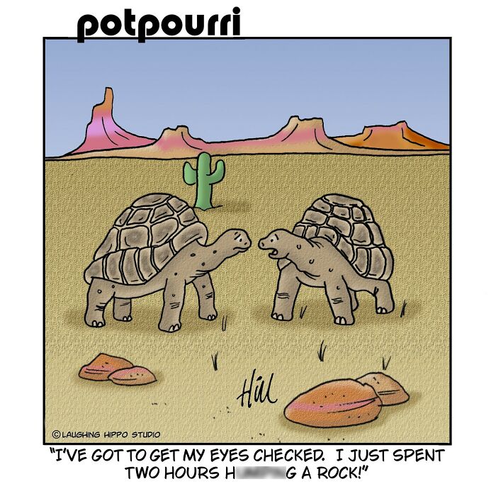Two turtles in a desert one-panel comic by Laughing Hippo Studio, featuring humor and silly situations.