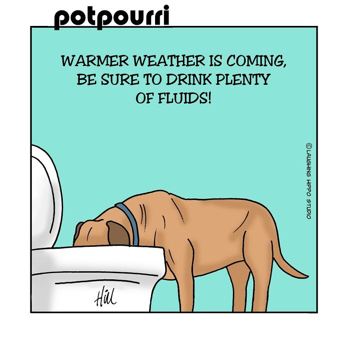 One-panel comic by Laughing Hippo Studio shows a dog with head in toilet, humor and silly situations.