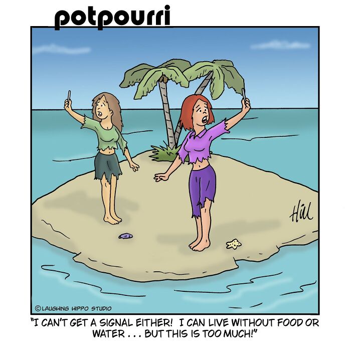 Two women stranded on a tiny island take selfies, highlighting humor in one-panel comics by Laughing Hippo Studio.