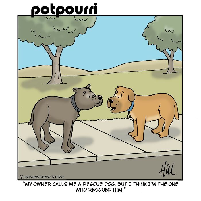 Two dogs on a sidewalk in a humorous one-panel comic with playful and silly situations by Laughing Hippo Studio.