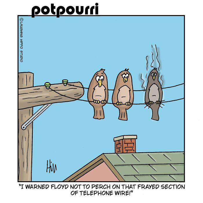 Cartoon from Laughing Hippo Studio showing three birds on a telephone wire with one bird shocked and singed in a humorous comic.