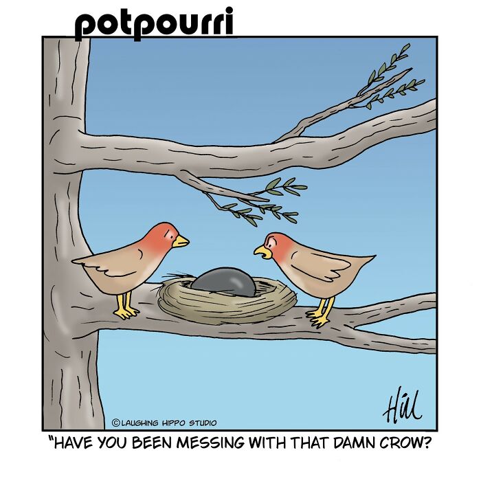 Two birds on a tree branch looking at a black egg in nest in a humorous one-panel comic by Laughing Hippo Studio.