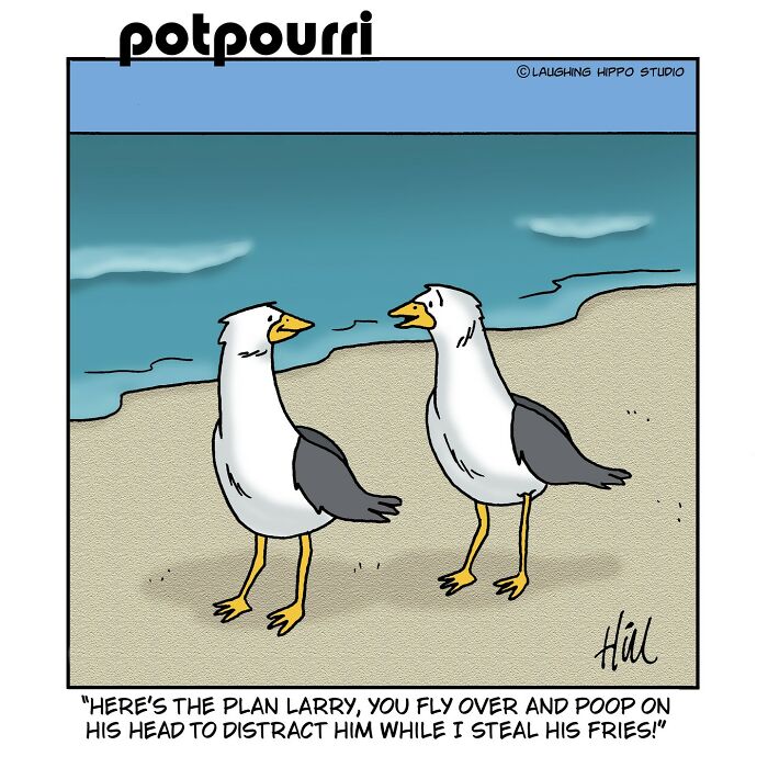 Two seagulls on a beach in a humorous one-panel comic with silly situations by Laughing Hippo Studio.