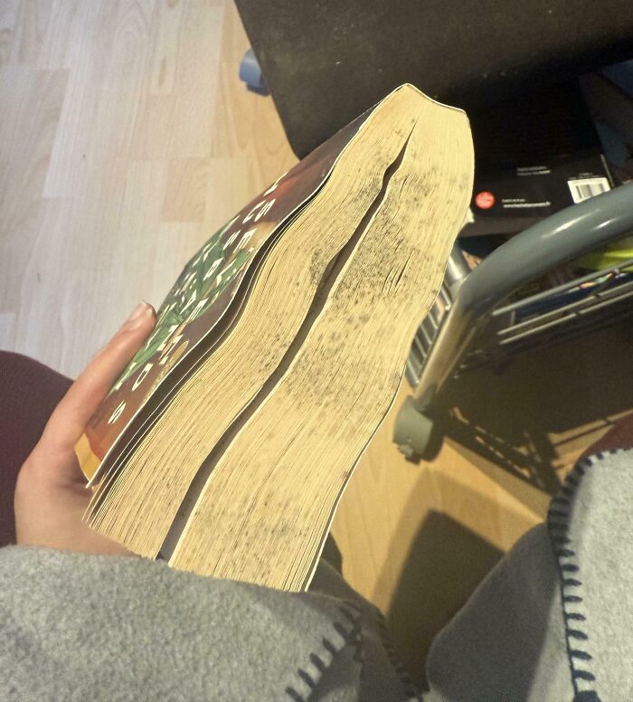 Libro con páginas arrugadas y daño visible, mostrando el desgaste típico causado por un hermano con actitud de derecho entitlment sibling.