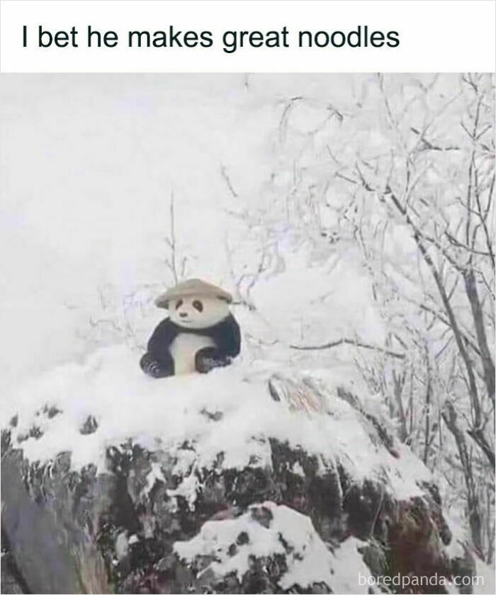 Panda figurine wearing a hat sitting on a snowy rock with caption relating to funny and relatable animal memes.