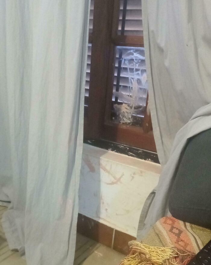 Window and wall covered in messy stains and smudges, showing sibling shenanigans captured in a candid photo.