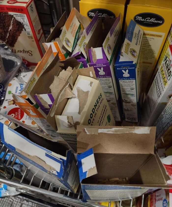 Cajas vacías y abiertas de comida en despensa mostrando un claro ejemplo de comportamiento de un hermano con derecho.