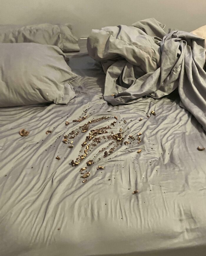 Cama con sábanas arrugadas y restos de comida, muestra típica de tener un hermano con actitud de derecho.