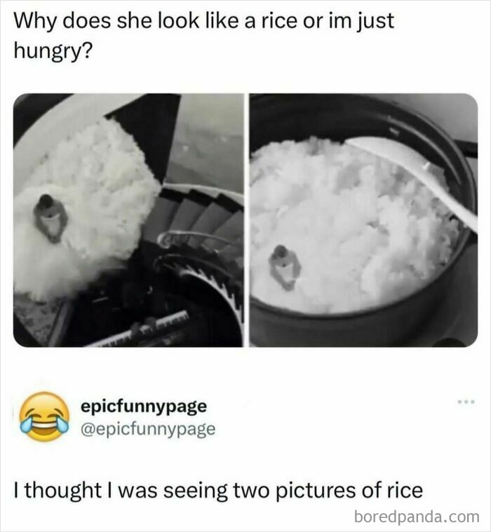 Meme showing a person blending in with a large pile of rice, humorously highlighting entertaining posts to fight boredom.