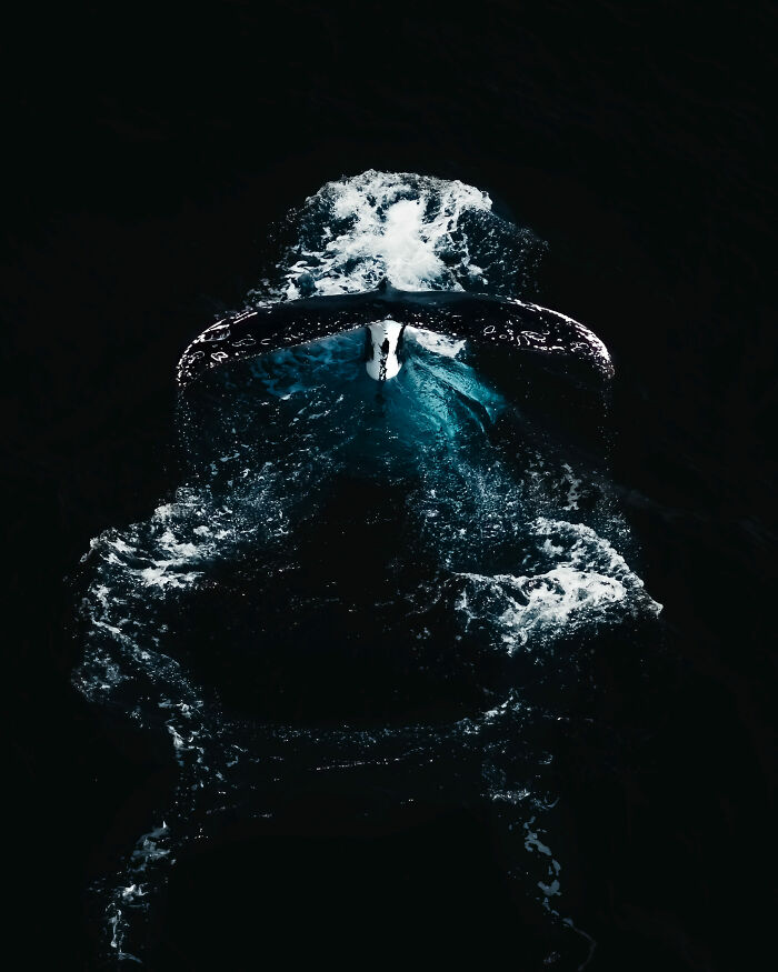 Whale tail breaking dark ocean surface with splashing water, a stunning image from ocean photographer of the year awards.