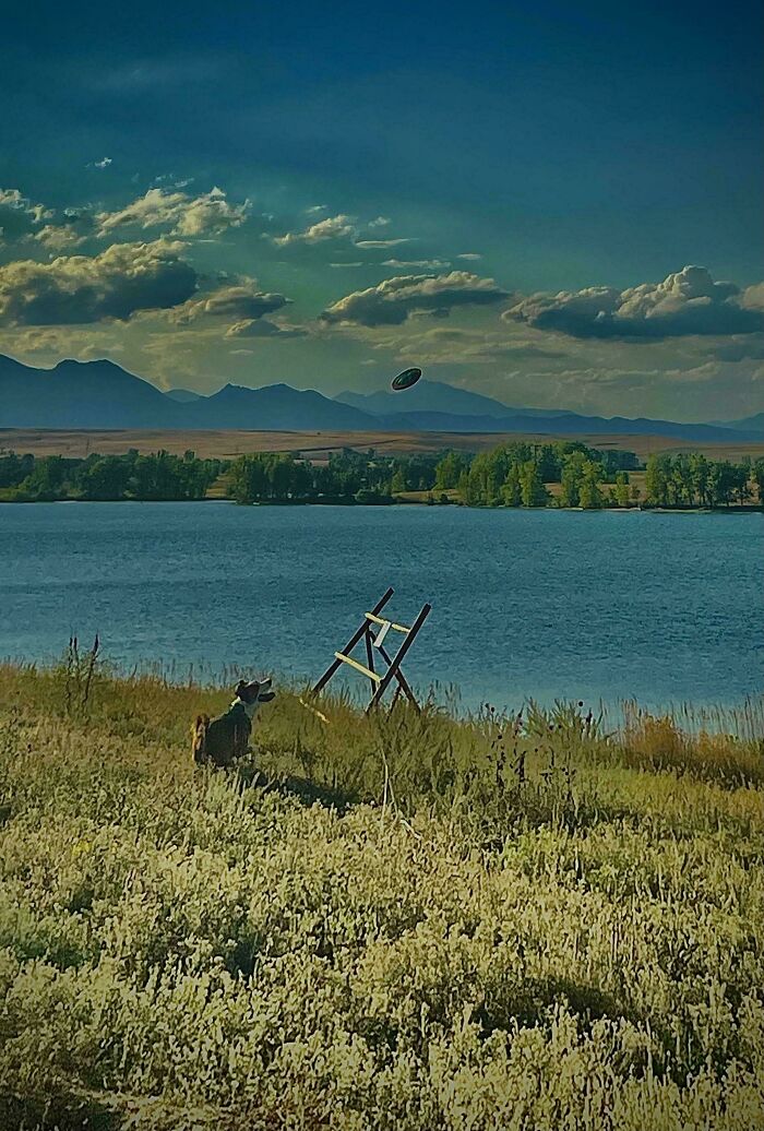Dog playing with a frisbee near a lake with mountains and trees in the background in an accidental Renaissance photo style.