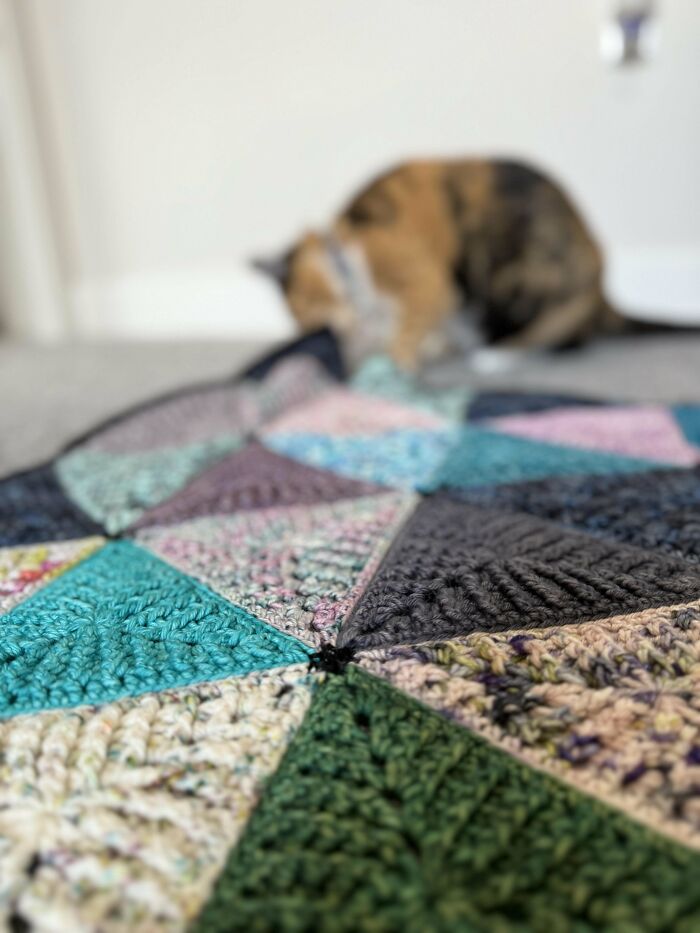 Close-up of a colorful crocheted blanket with various textured patterns and a cat blurred in the background.