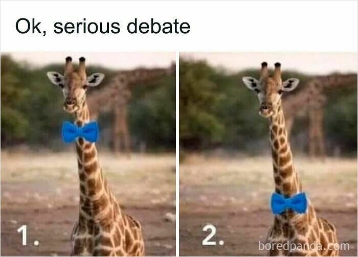 Giraffe wearing a blue bow tie in two side-by-side images as a funny and relatable animal meme.