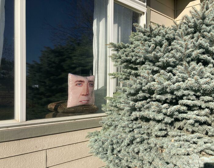 Pillow with a human face reflected in a window, creating a witty and unexpected visual effect outside a house.