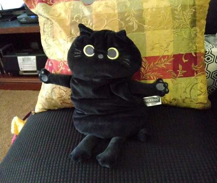 Black plush cat toy with wide eyes on a couch cushion, a perfect impulse buy for cozy home decor.