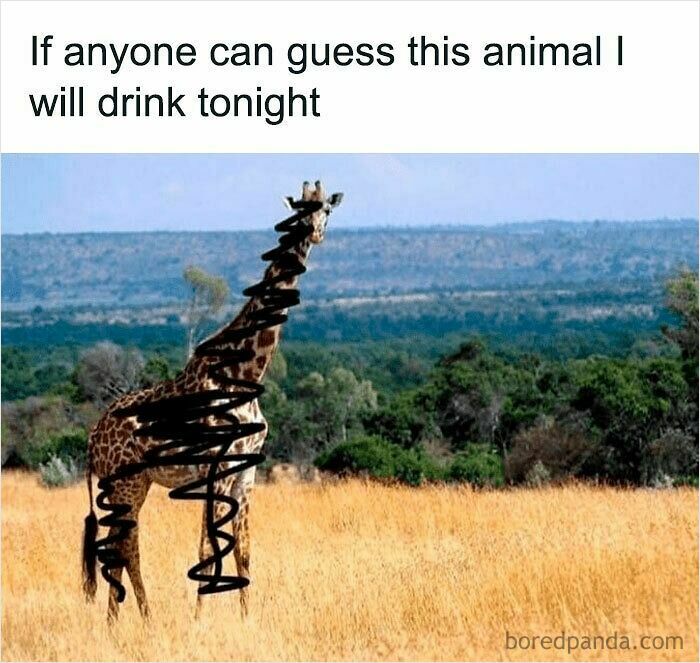 Funny and relatable animal meme showing a giraffe with scribbles and a humorous drinking challenge caption.