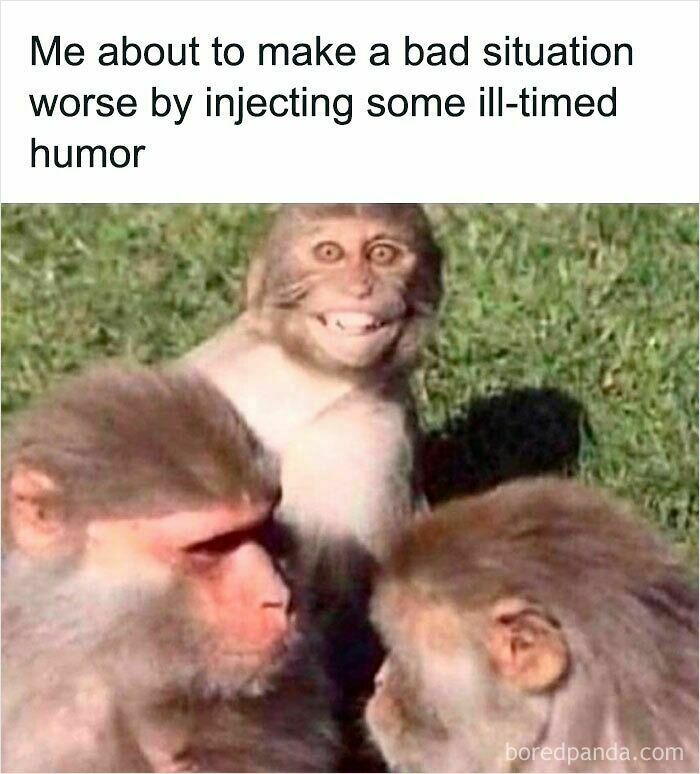 Monkey with a funny face among two other monkeys in a relatable animal meme to improve your mood.