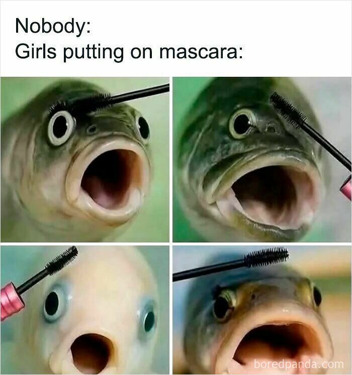 Fish with wide open mouths humorously shown as putting on mascara in relatable animal memes.