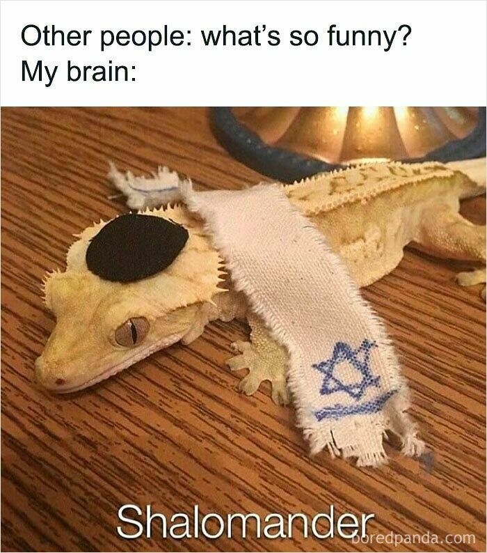 Funny and relatable animal meme featuring a gecko dressed with a headpiece and scarf for a humorous mood boost