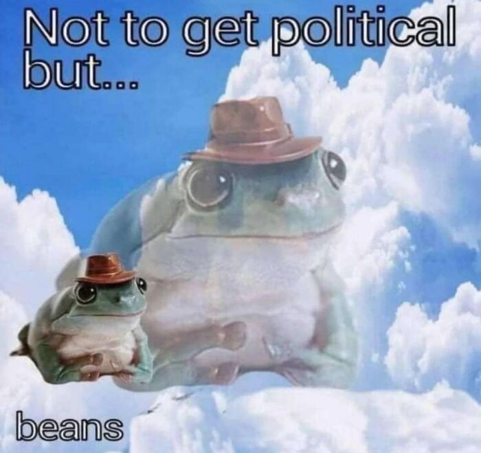 Funny and relatable animal meme featuring a frog wearing a hat with the caption Not to get political but beans.