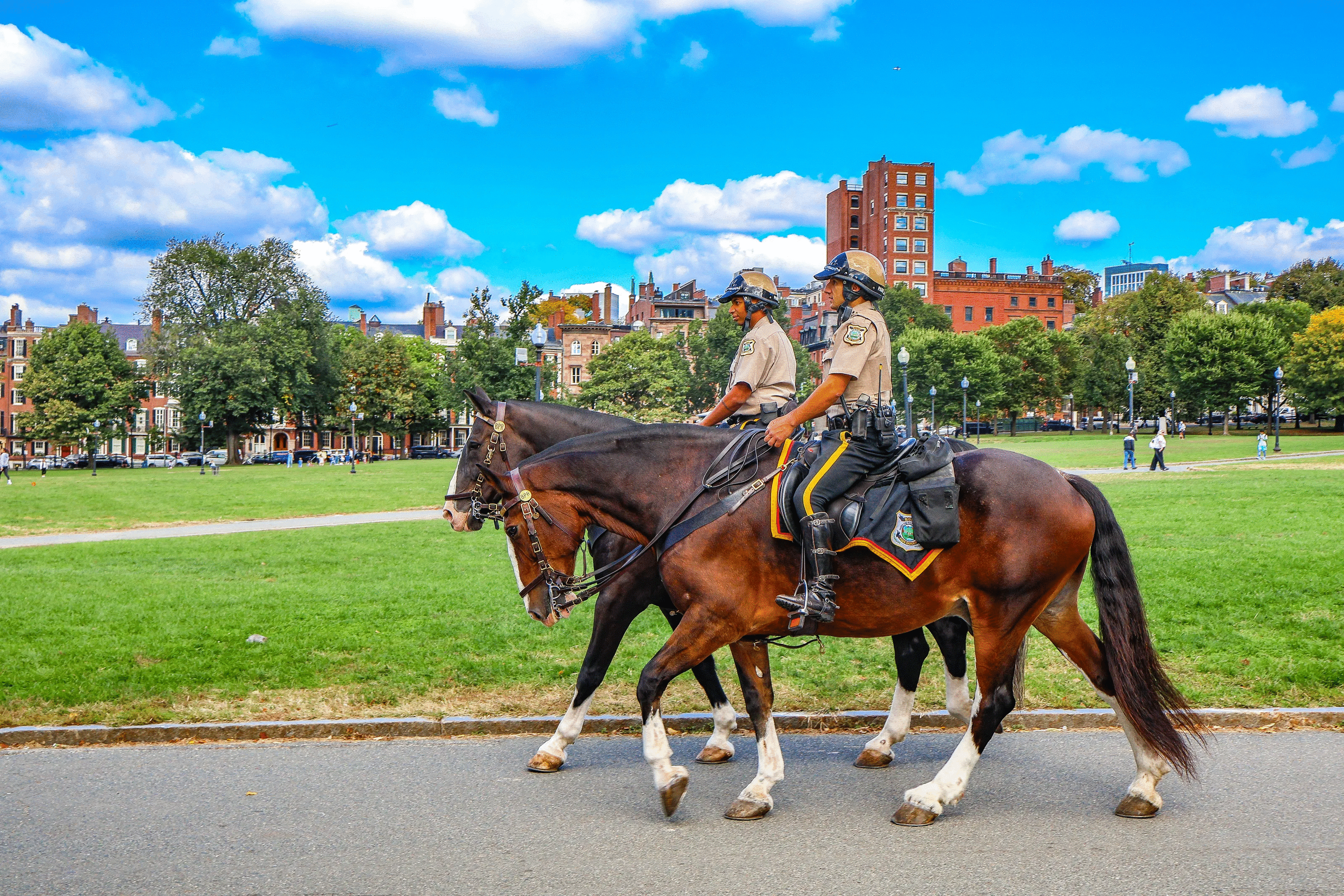 Two mounted police officers riding horses in a city park, showcasing powerful animal photos in urban setting.
