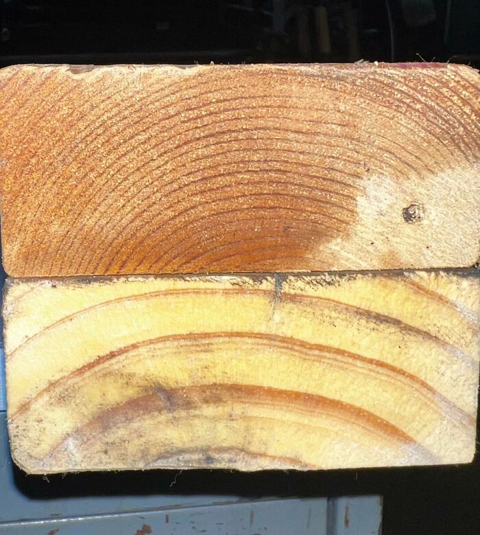 Two wooden blocks placed side by side showing distinct wood grain patterns for visual comparisons.