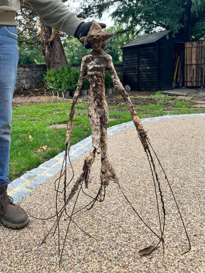 Creepy and unsettling moment captured showing a twisted, humanoid-shaped root with long wire-like limbs outdoors.