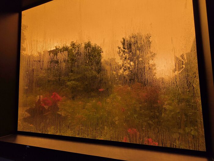 Misty window with water droplets framing a blurred garden scene, capturing accidental renaissance photo qualities in warm tones.
